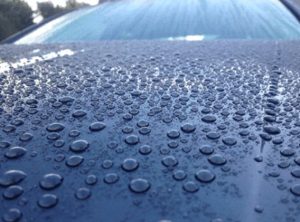 efek daun talas (hydrophobic)